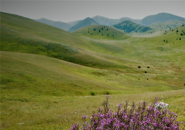campo imperatore - il piccolo Tibet